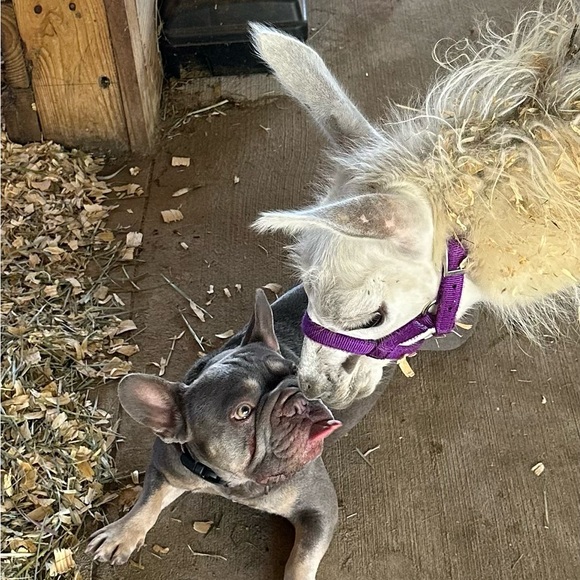 Meet your Posher, Linda - Picture 12 of 16